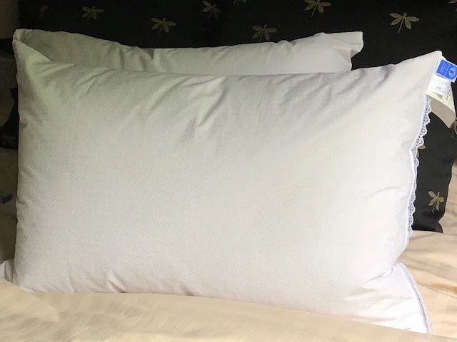 Square Pillows for Modern Home DecorCanadian Origin Hutterite 50% Down/50% Feather Sleeping Pillows Square Pillows for Modern Home DecorCanadian Origin Hutterite 50% Down/50% Feather Sleeping Pillows